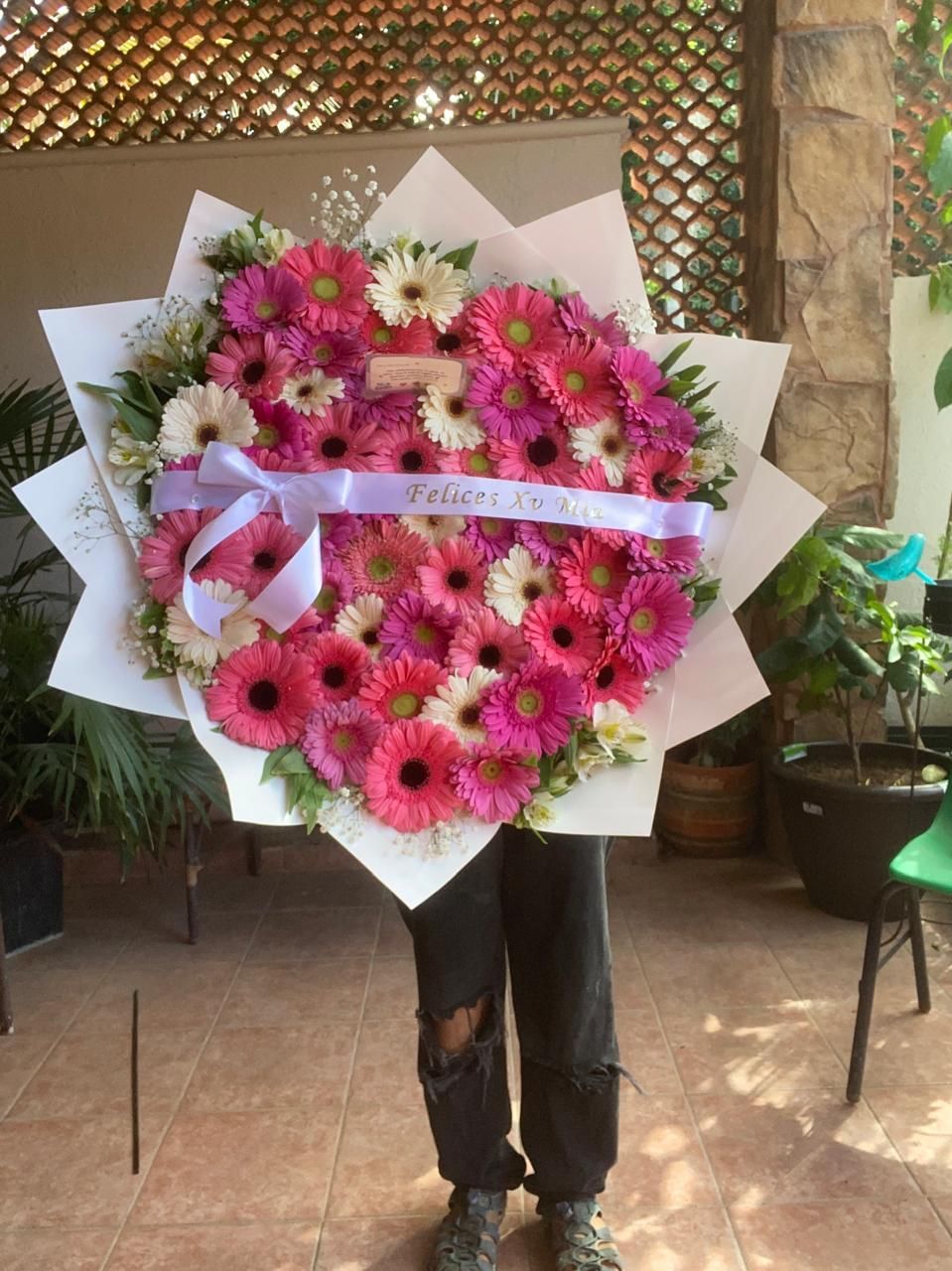 Maxi 50 gerberas con listón _1