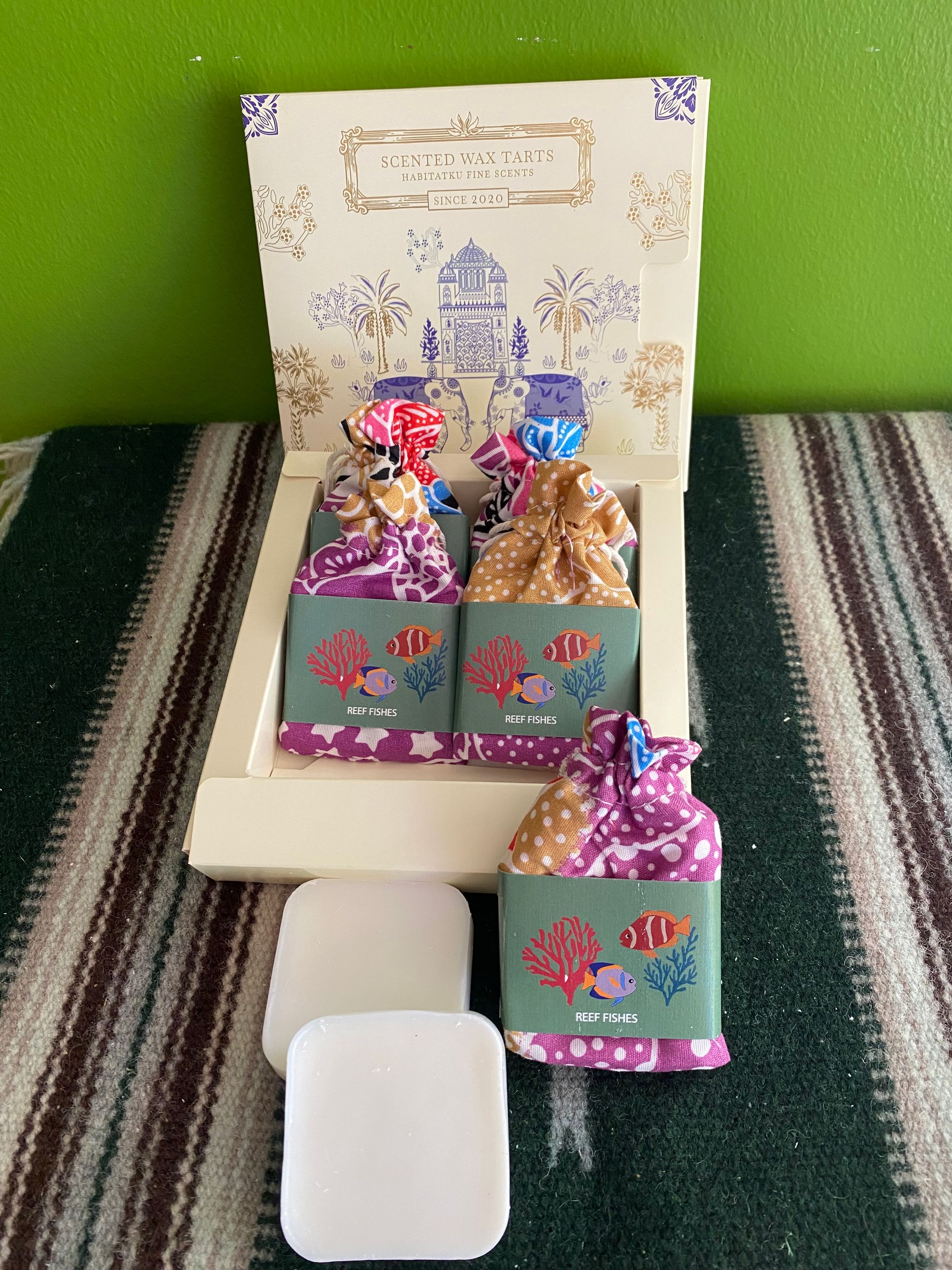 Reef Fishes (Watermelon)_1