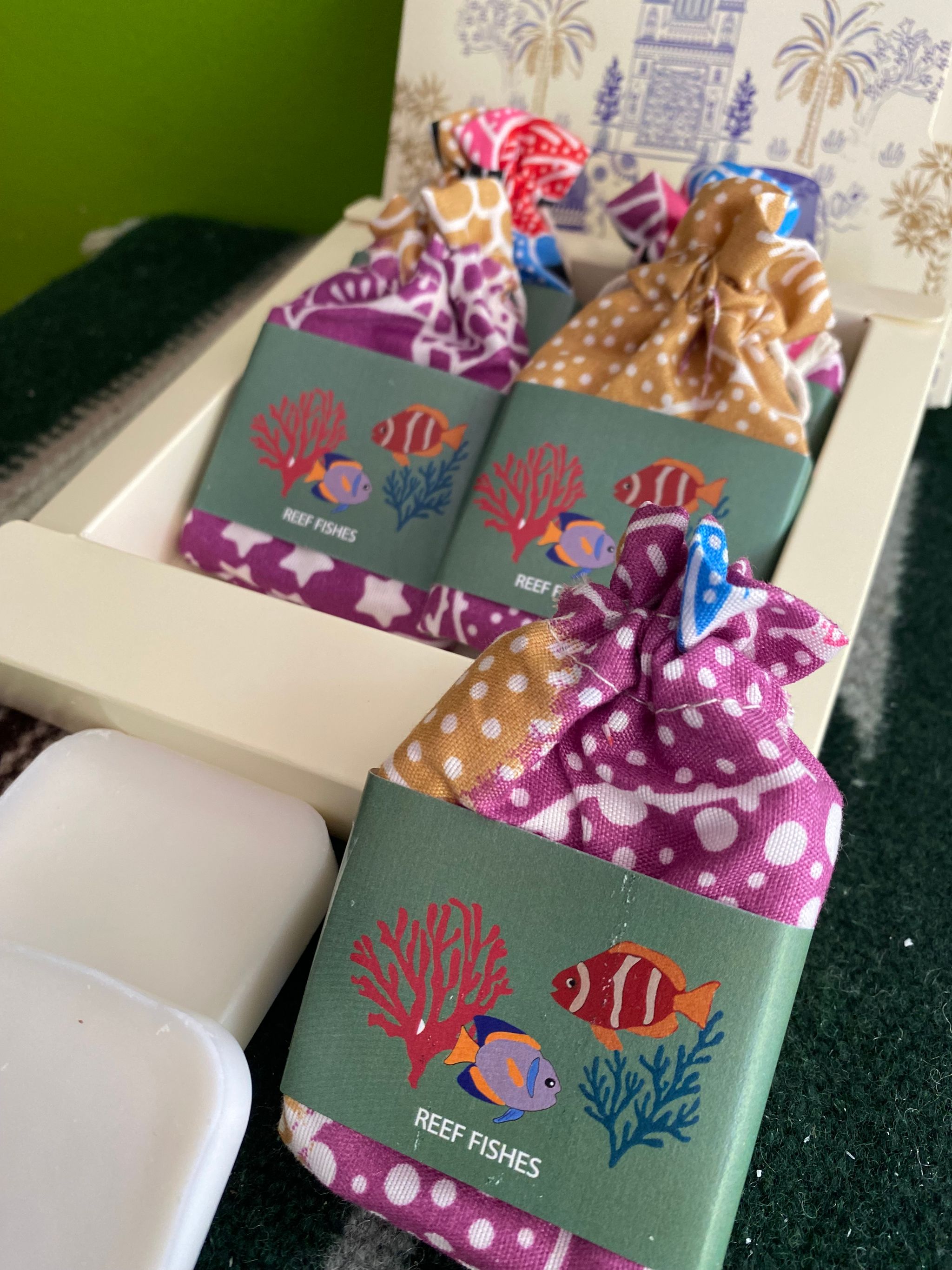 Reef Fishes (Watermelon)_2