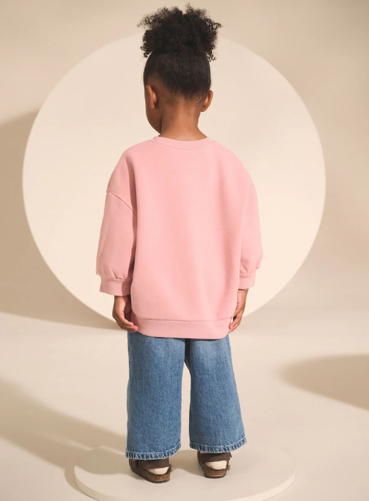 Pink Fairy Characters Crew Neck Sweatshirt | Next_1