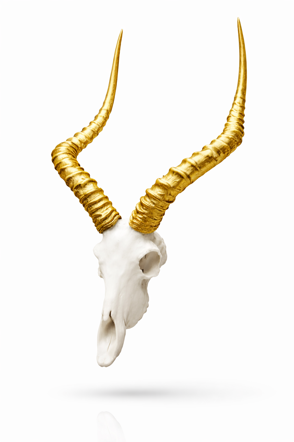 Miniature Animal Skull in Gold_2