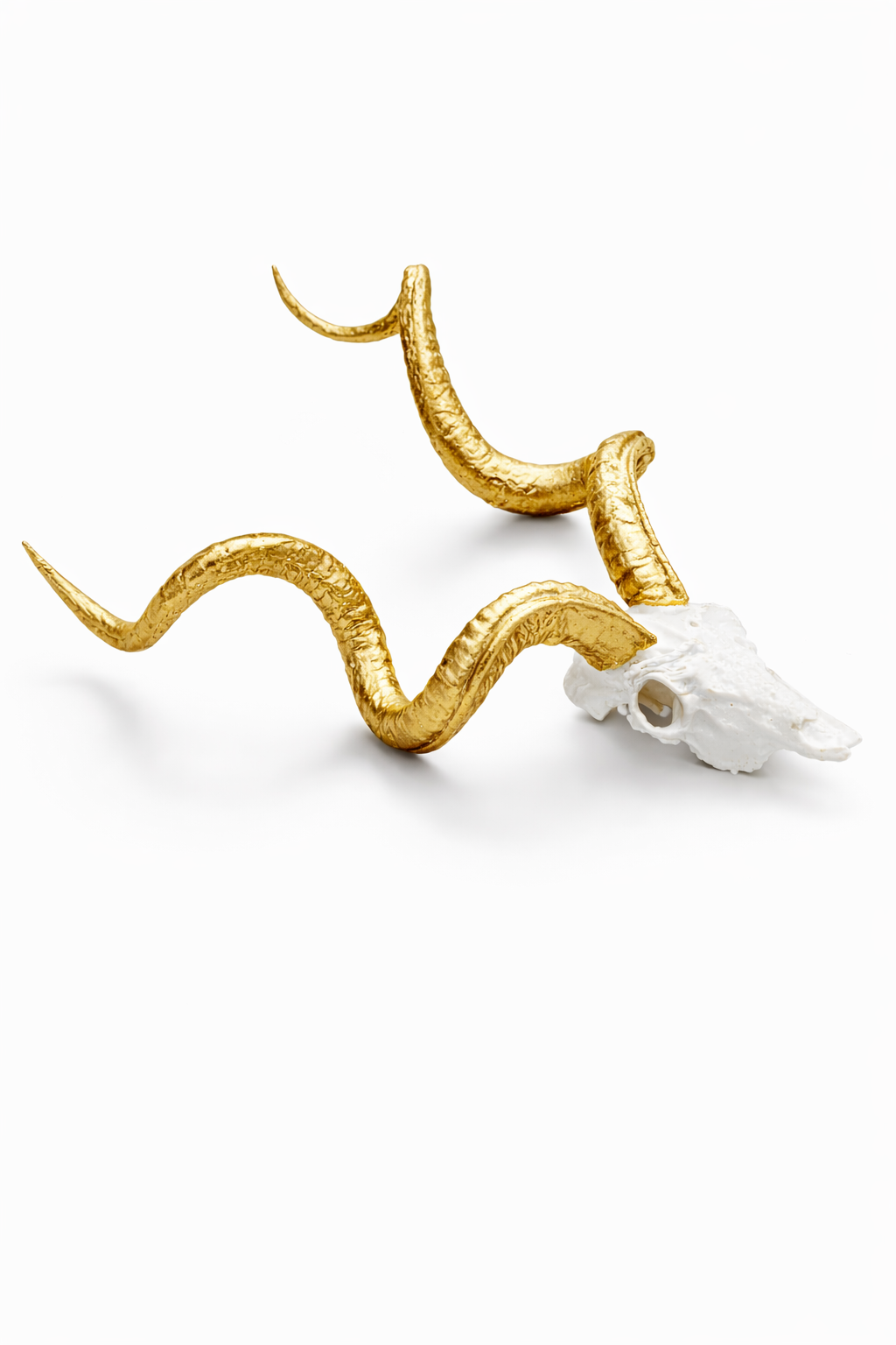 Miniature Animal Skull in Gold_1