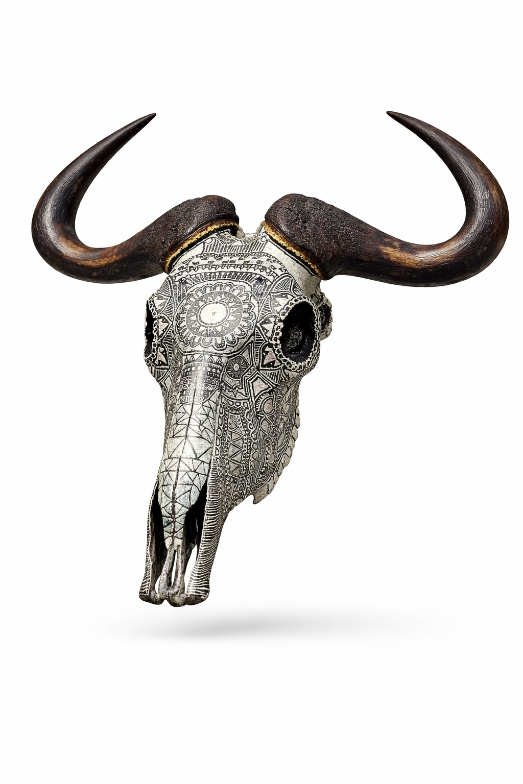 Artist Painted skulls_17