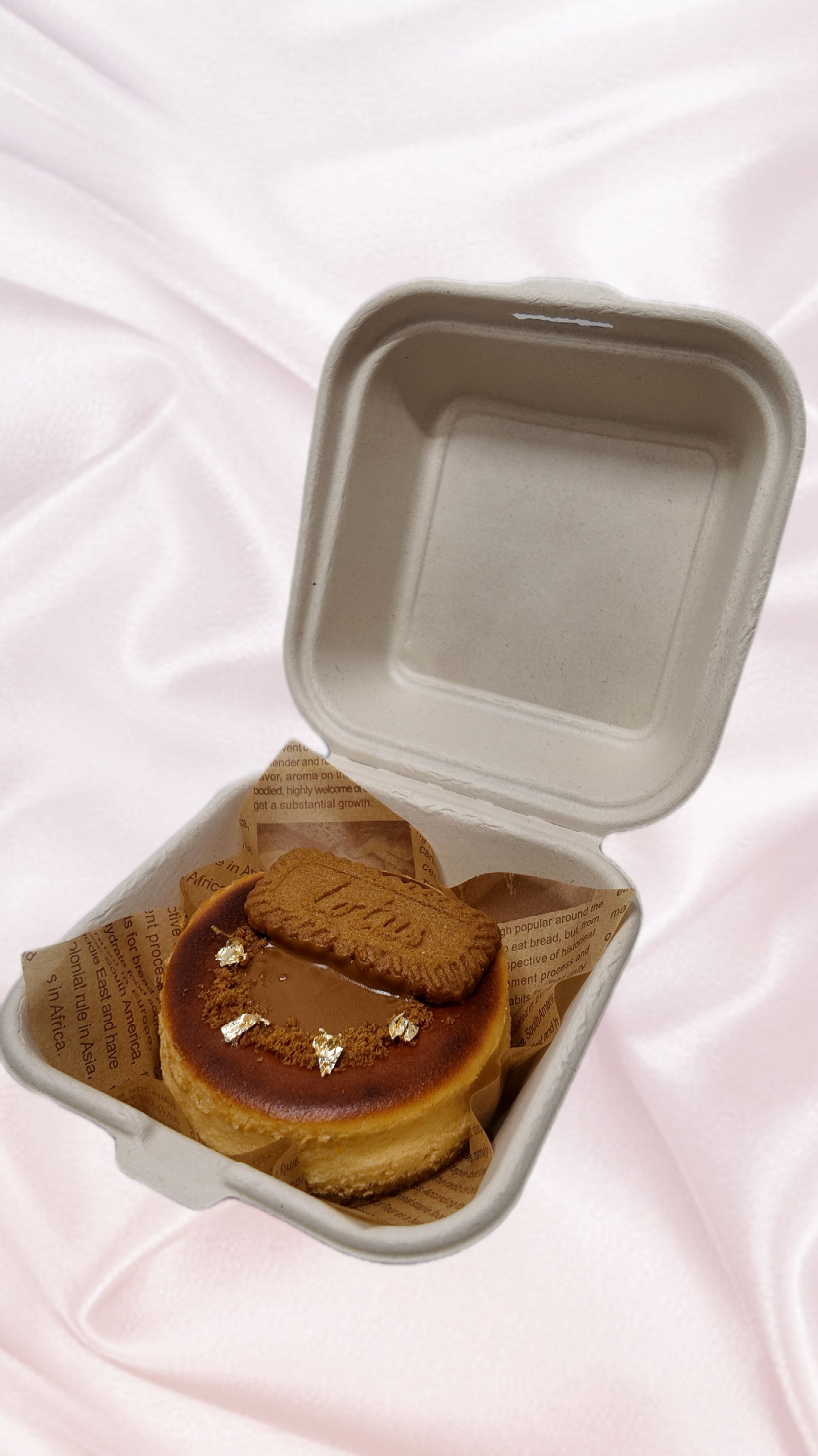 Biscoff Bento Burnt Basque Cheesecake 4 Inch_1