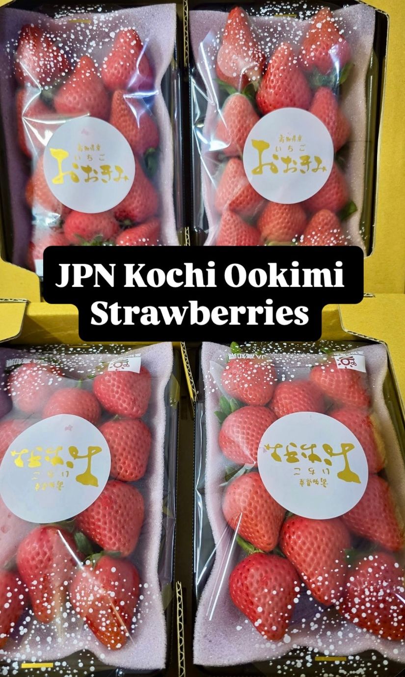 JPN KOCHI OOKIMI RED STRAWBERRIES 大贵妃_0
