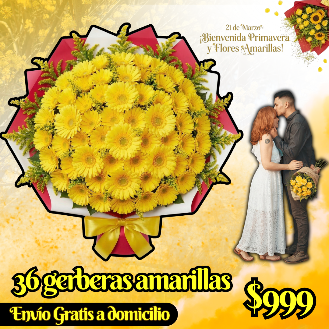 36 gerberas amarillas_0