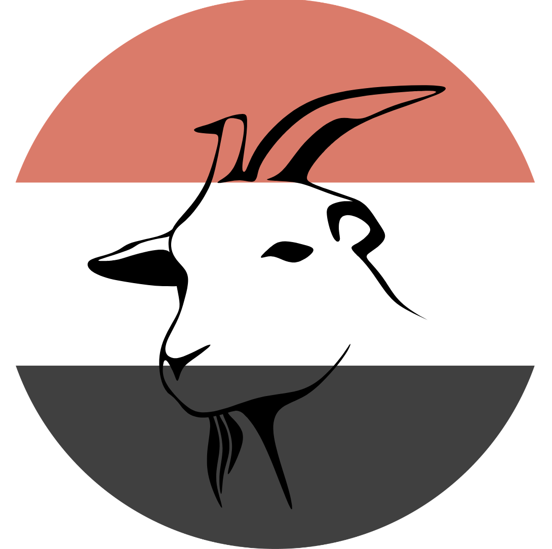 Yemen - Goat/Sheep_0
