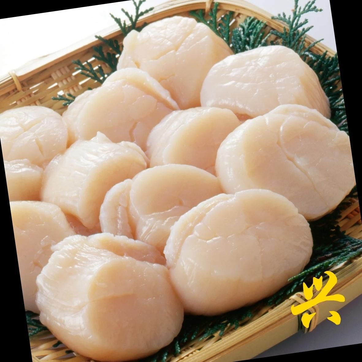 Hokkaido Scallop 21/25_0