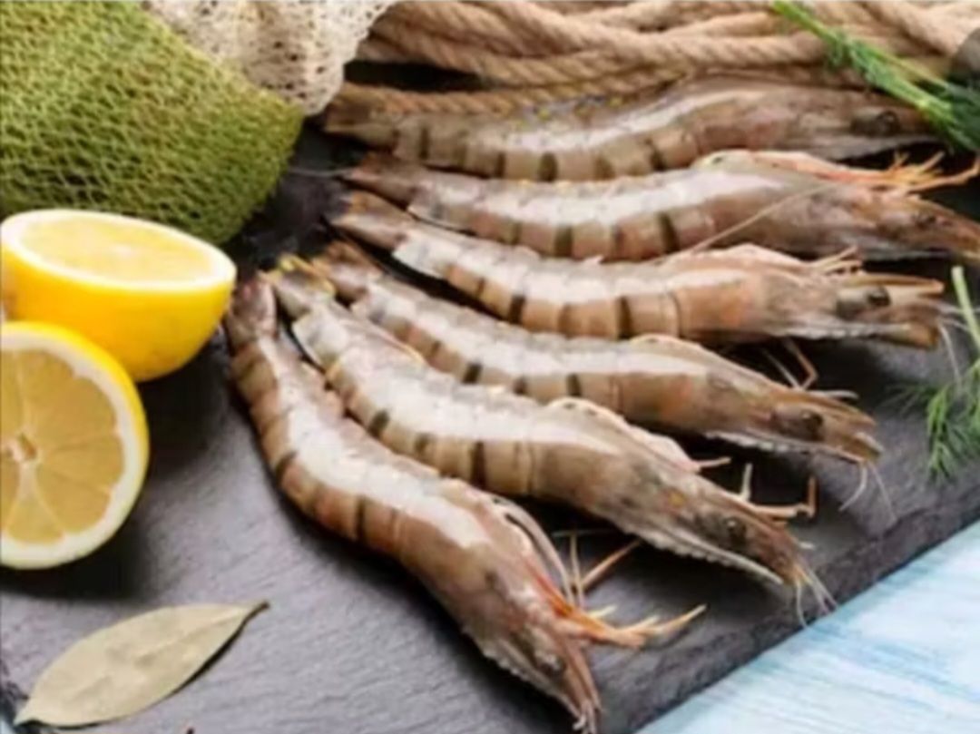 Black Tiger prawn Hoso 13/15 (1 ctn)_0