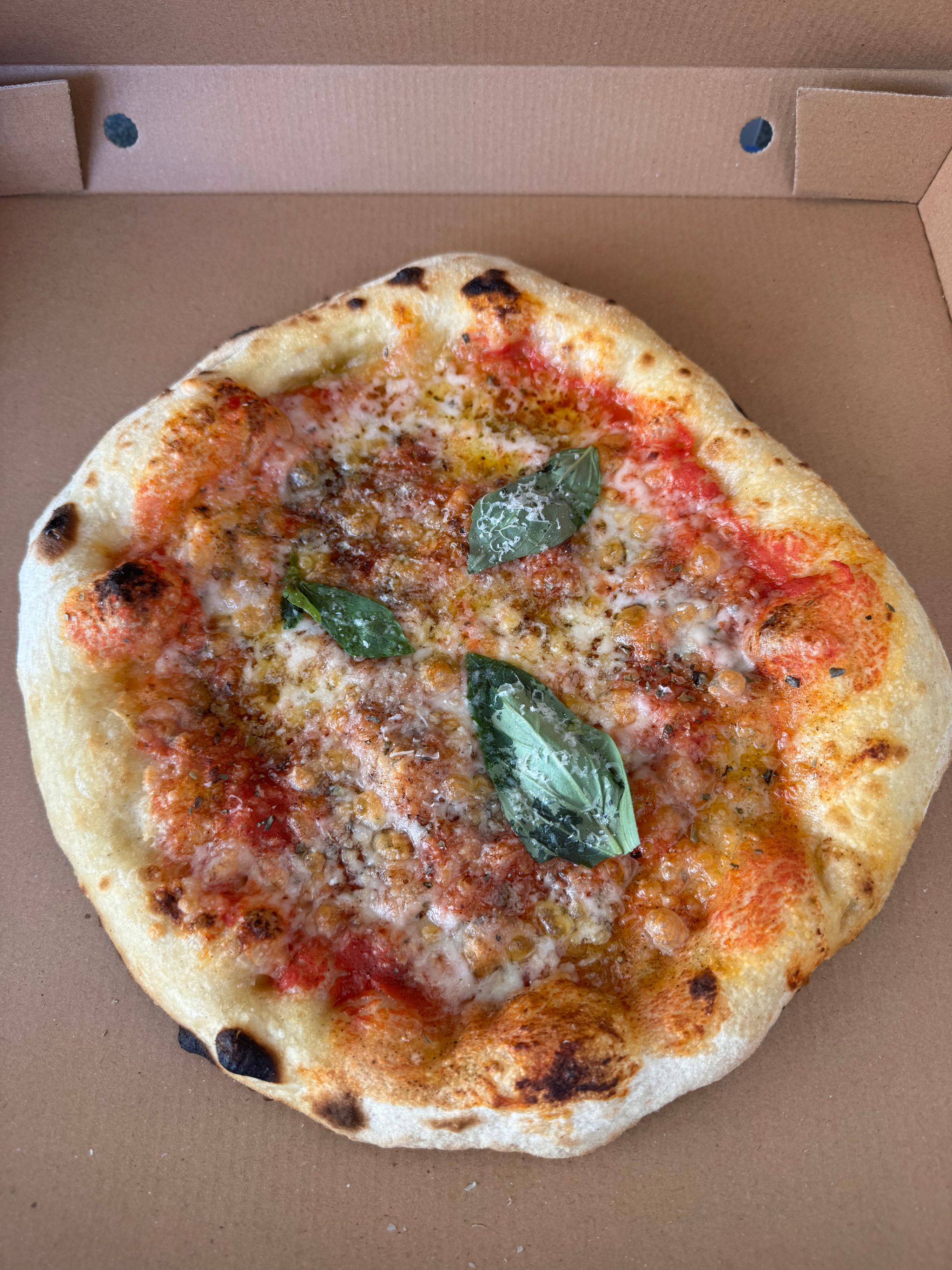 פיצה מרגריטה _0