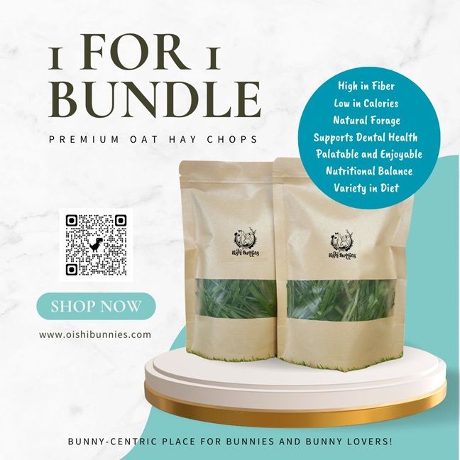 1 For 1 Special Bundle! Premium Golden & Green Oat Hay (35g + 35g)_1