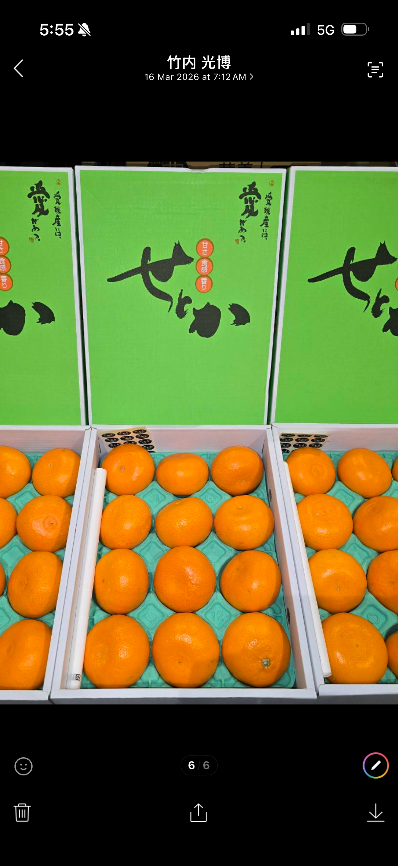 Setoka 瀬戸香 (Per Piece)_0