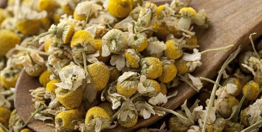 Chamomile 800 Ml_0