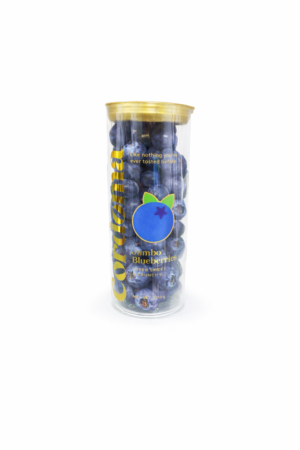 China Cordoma Jumbo Blueberry_0