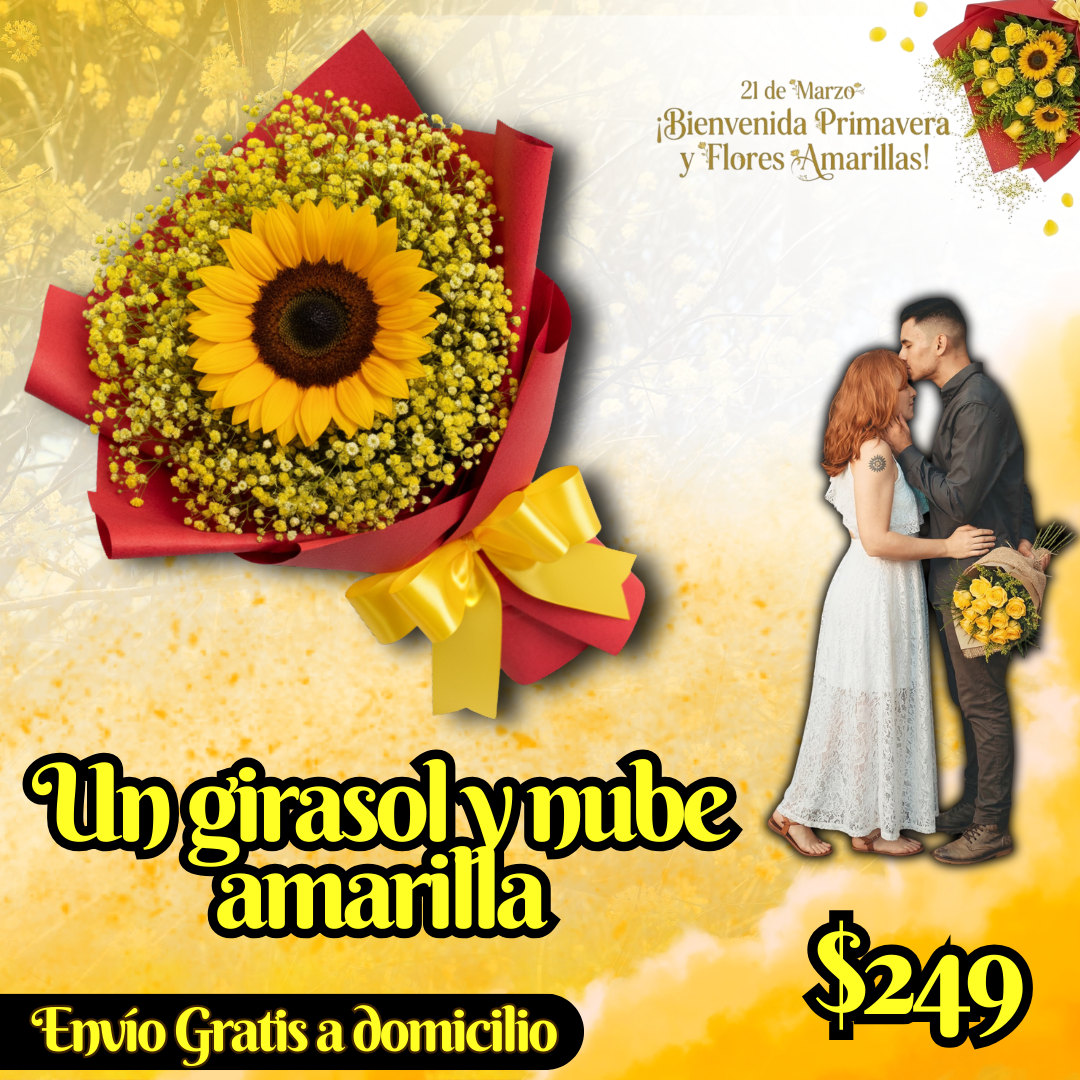 Un girasol y nube amarilla_0