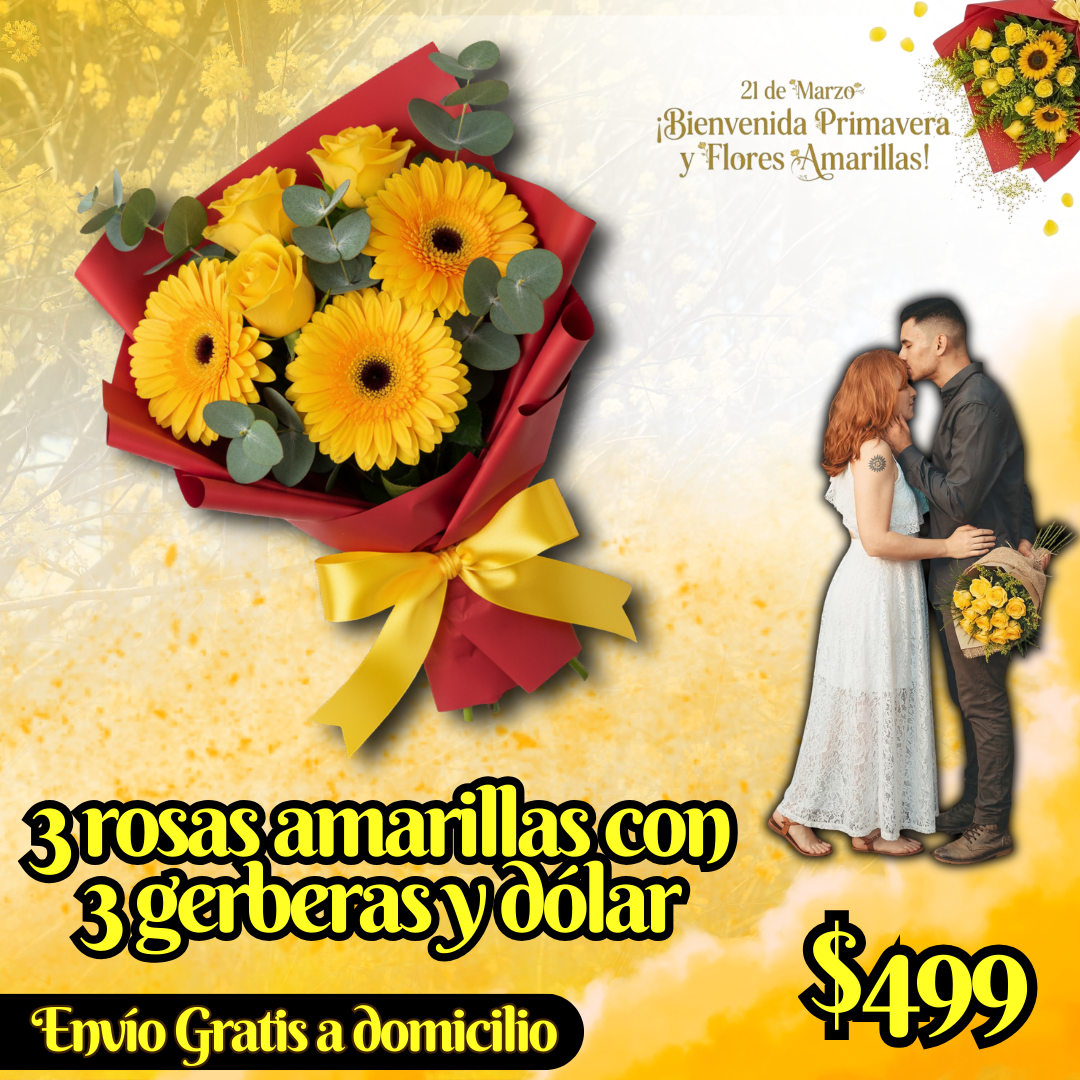 3 rosas amarillas con 3 gerberas y dólar_0
