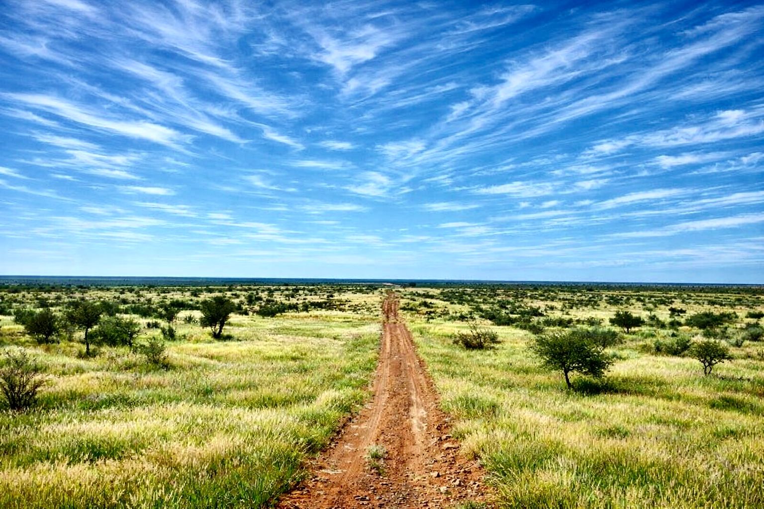 Virtual Photography (up to 20 images)_6