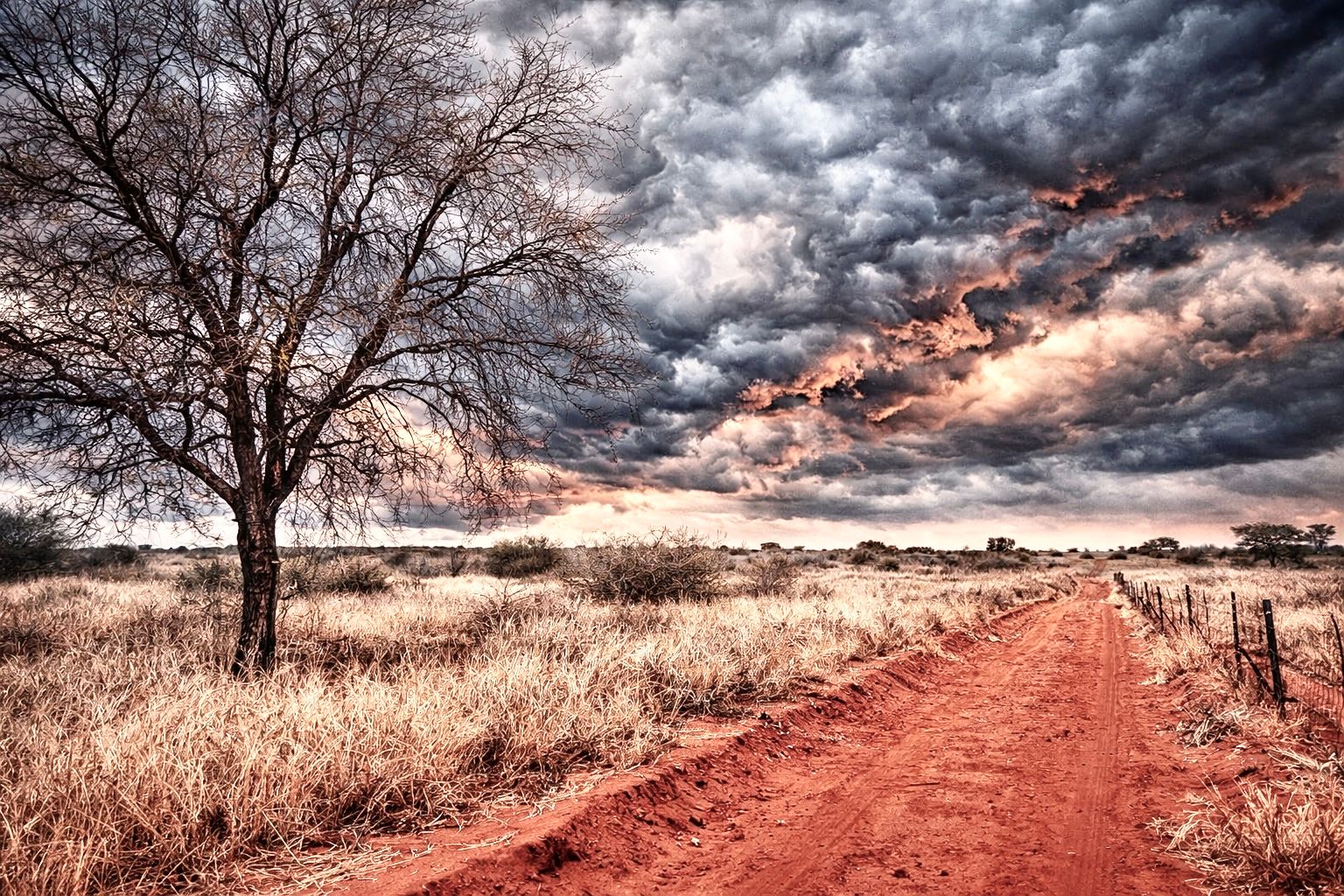 Virtual Photography (up to 20 images)_5