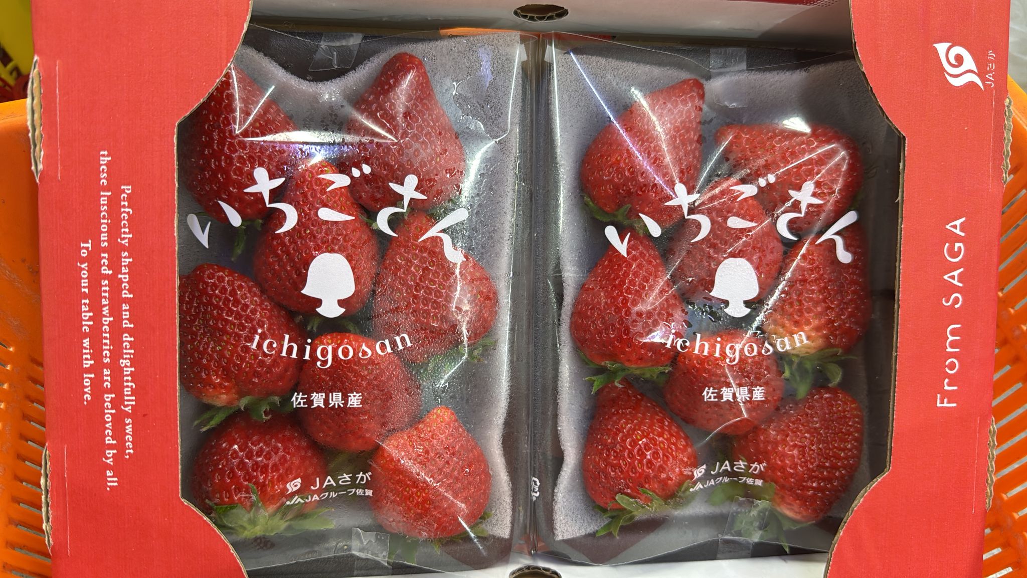 Saga ichigosan Strawberry_0