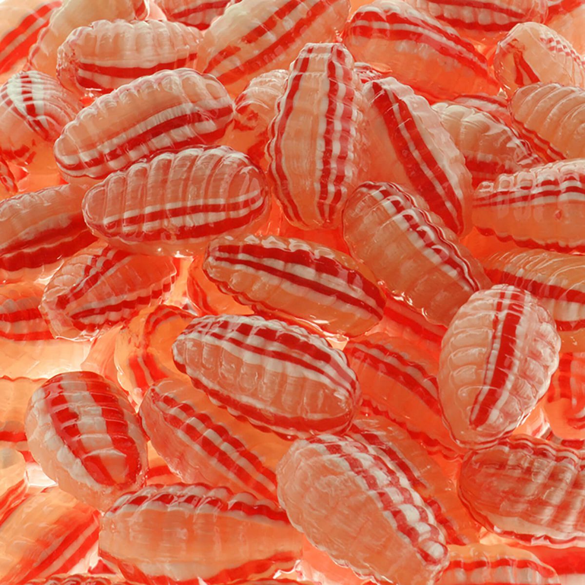 CONCHA ANIS BREMEN BSA 1 KG_0