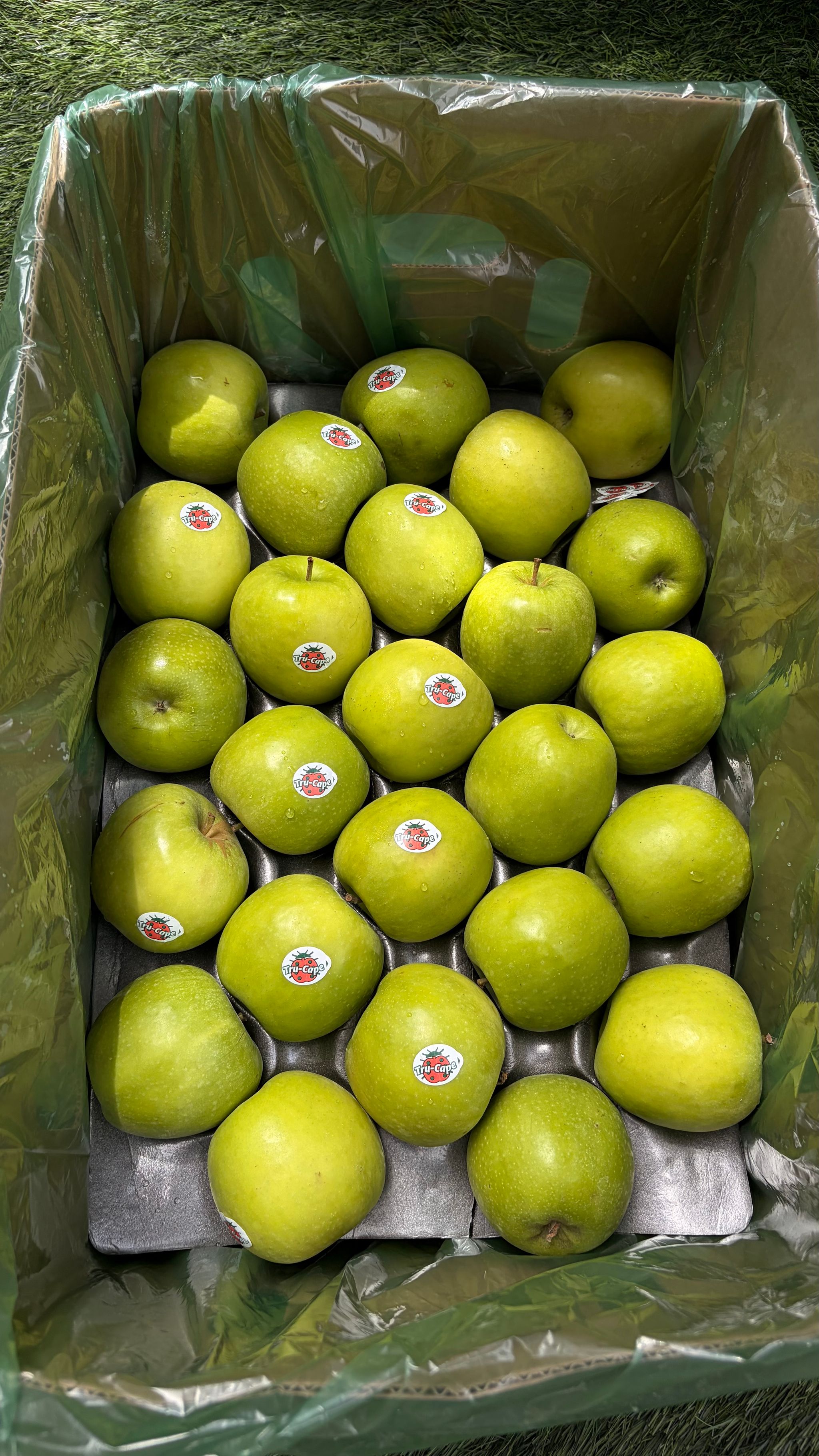 Green Apples _1