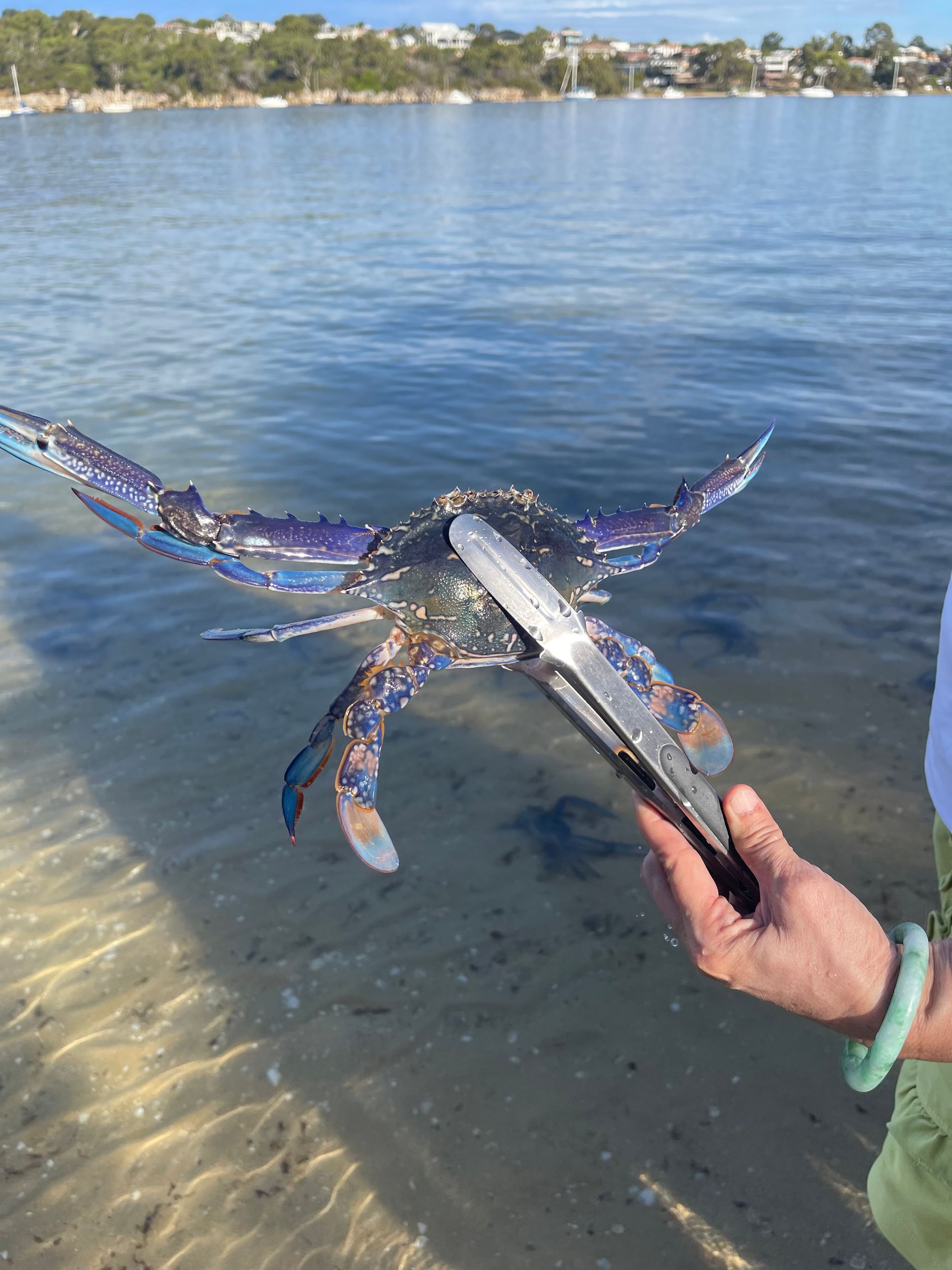 🇦🇺澳洲第一次放生的足迹_0