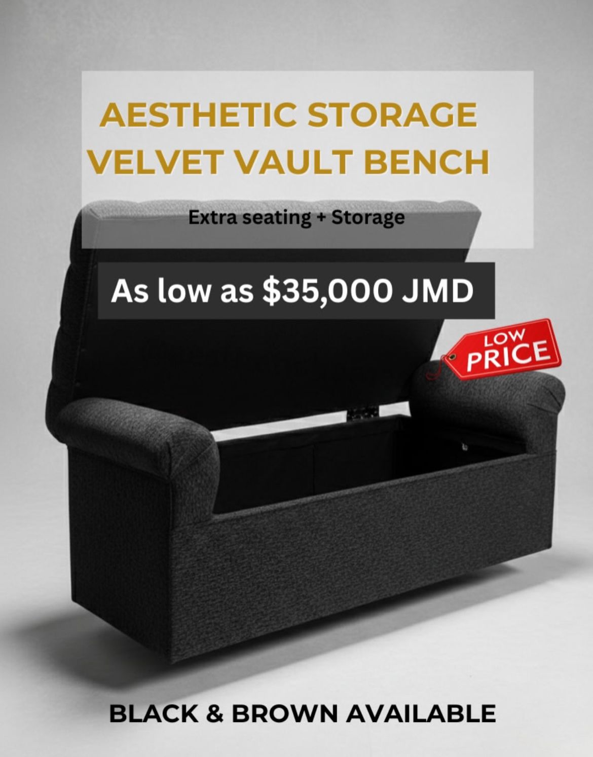 Aesthetic Storage Vault bench_0