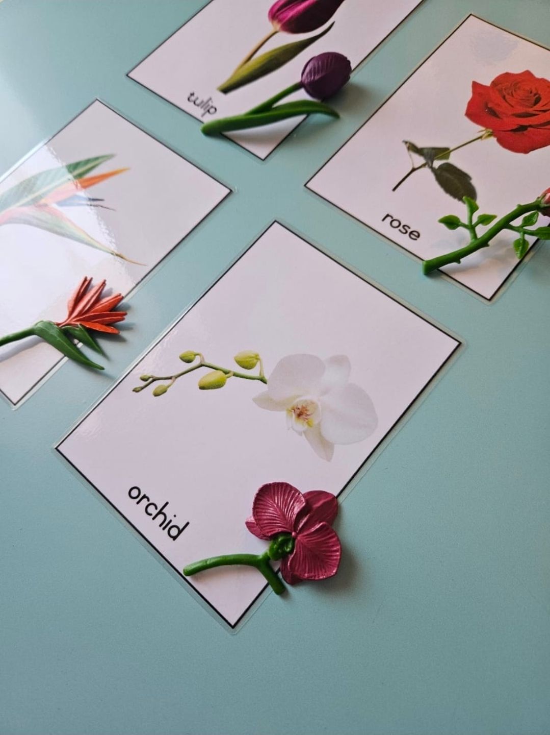 Object - Card Matching Set - Flowers_2