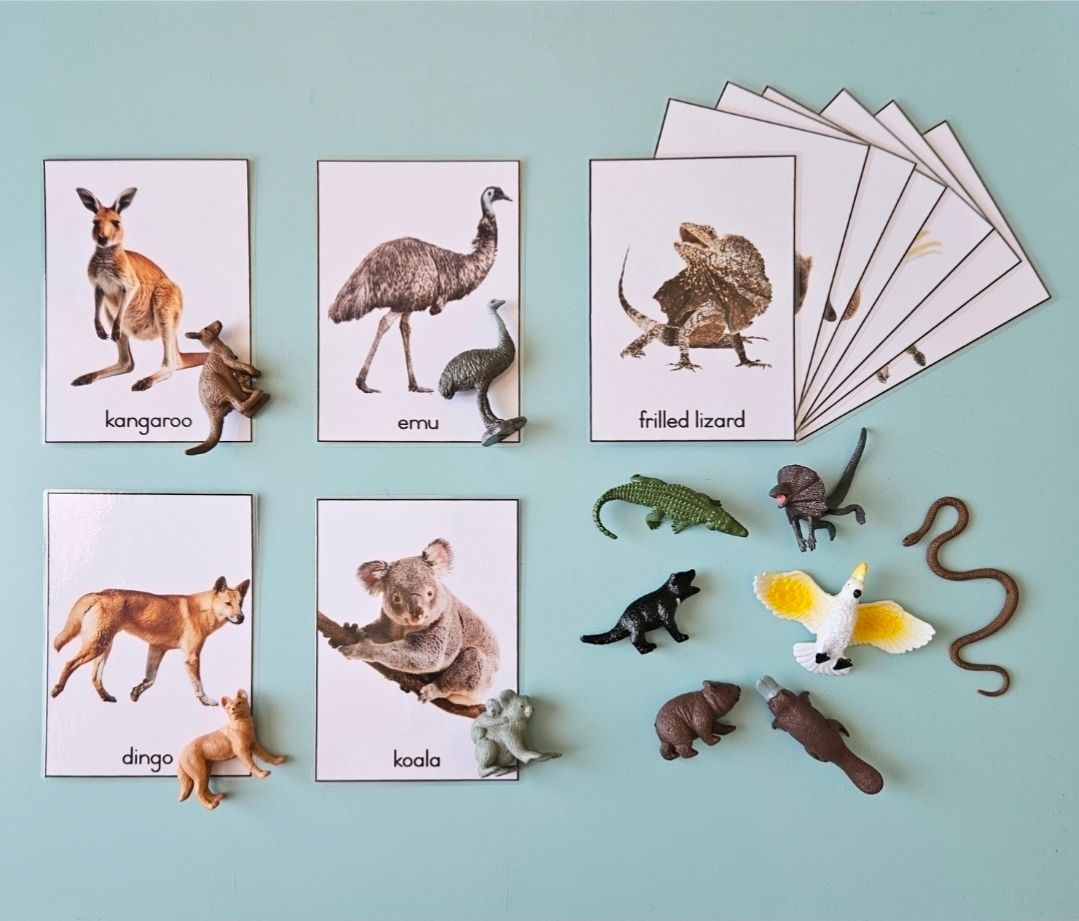 Object - Card Matching Set - Australian Animals_0