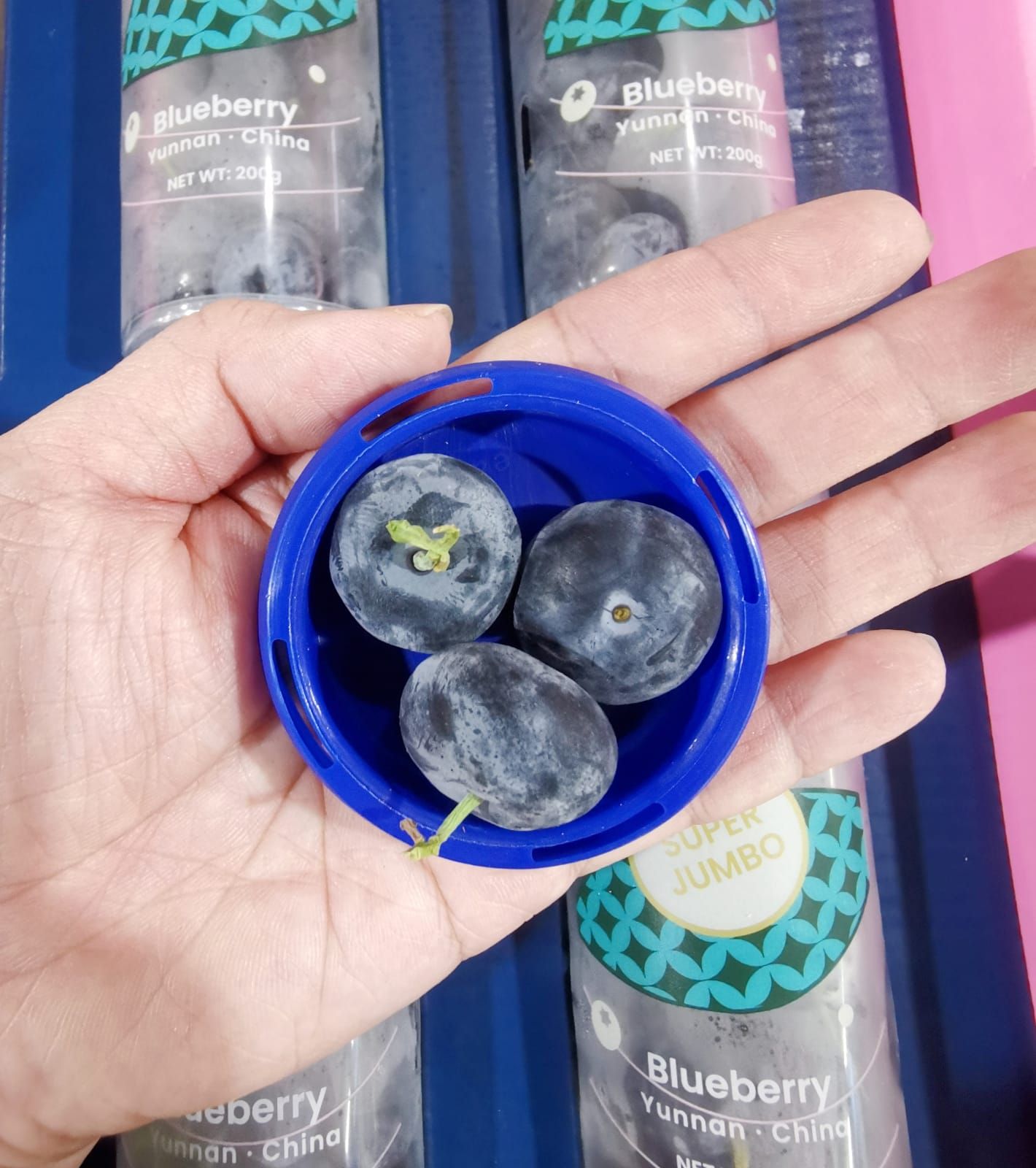 Yunnan Super Jumbo Blueberry_1