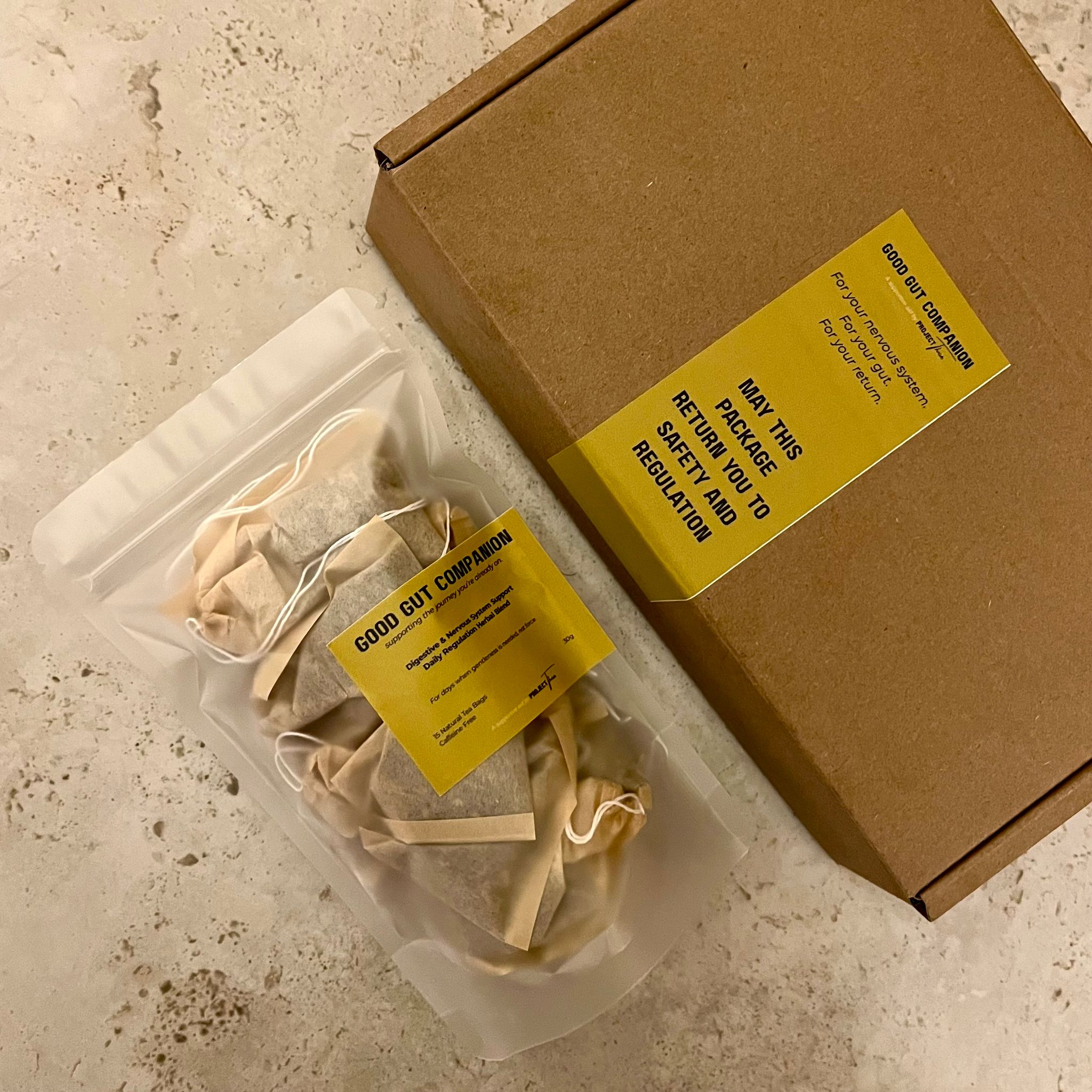 Good Gut Companion _2