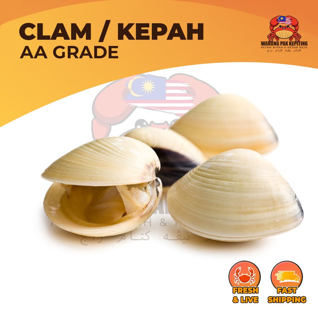 Kepah (100g)_0