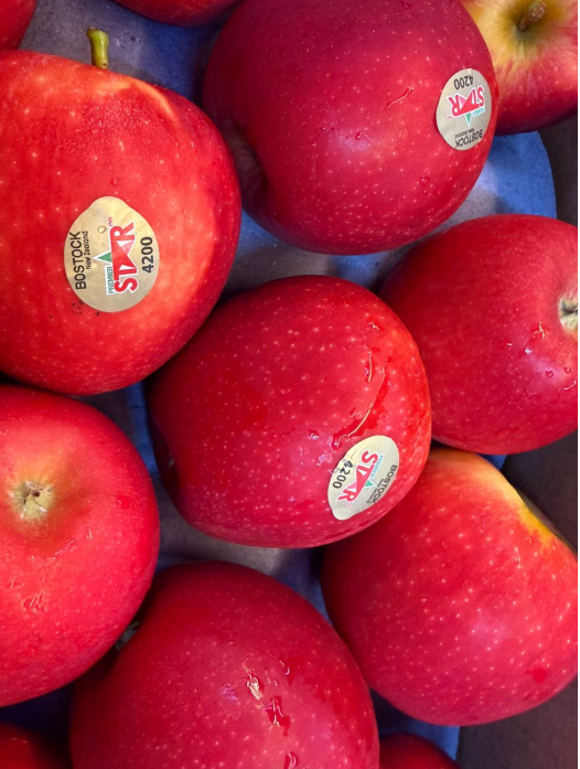NZ STAR APPLE 100'S_0