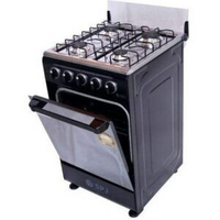 SPJ Cooker With 2 Gas Burner 2 Electric_1