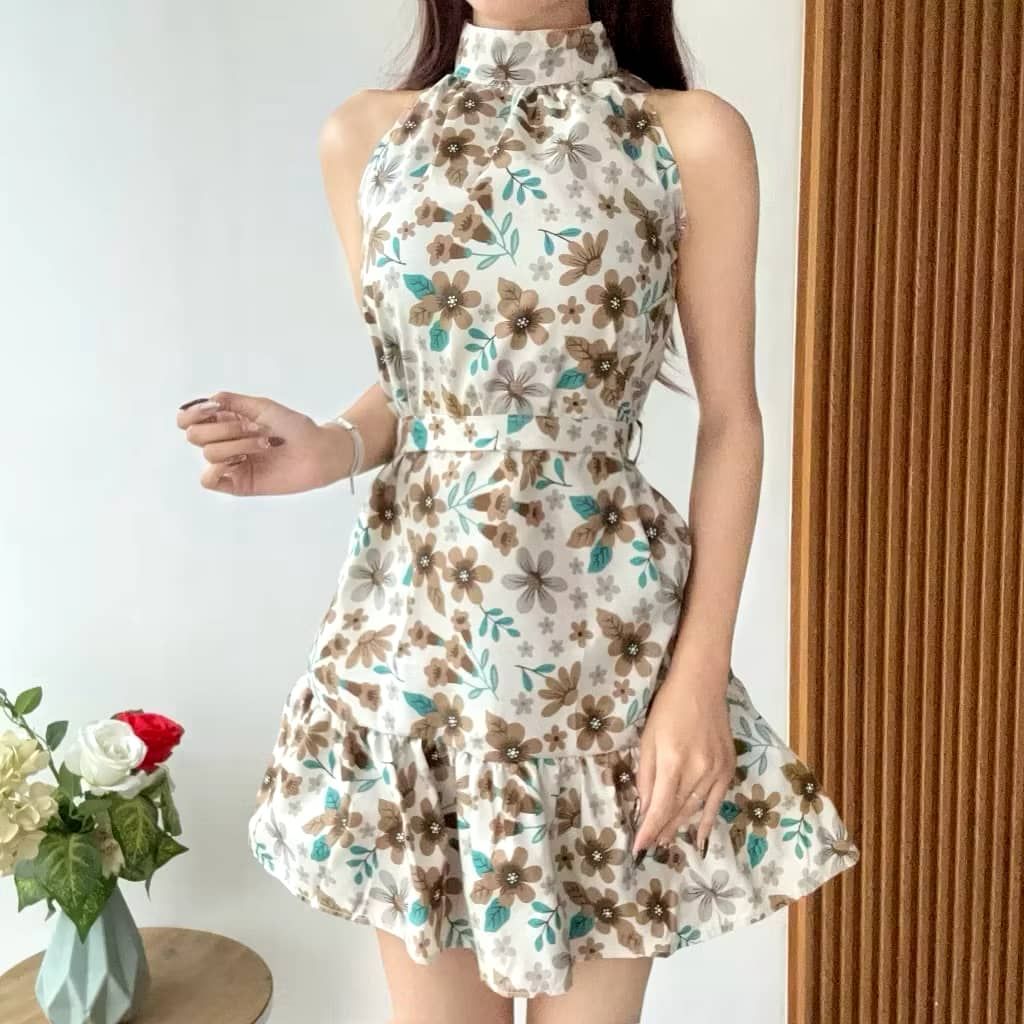 Dresh mini dahlia  _0