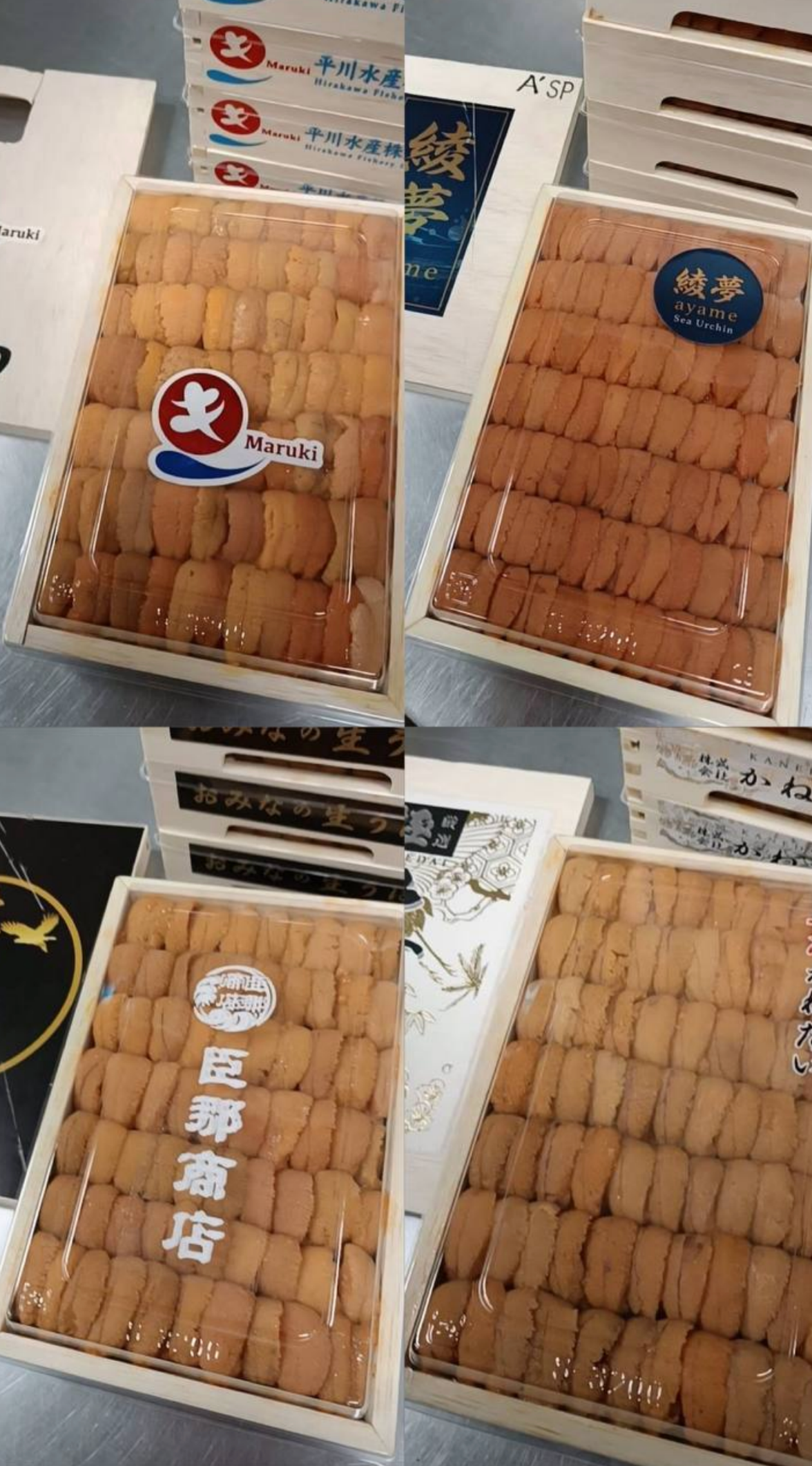 250g 'Omakase' Super Premium Bafun Uni _0