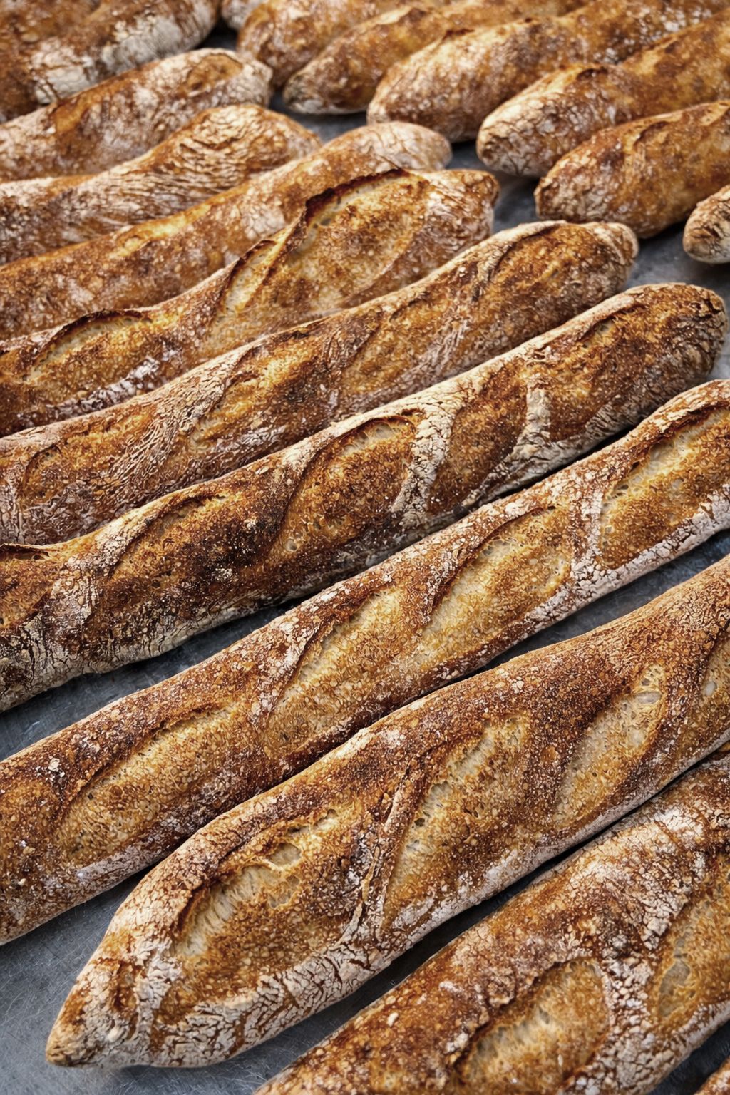 French Baguettes (3 pack)_0