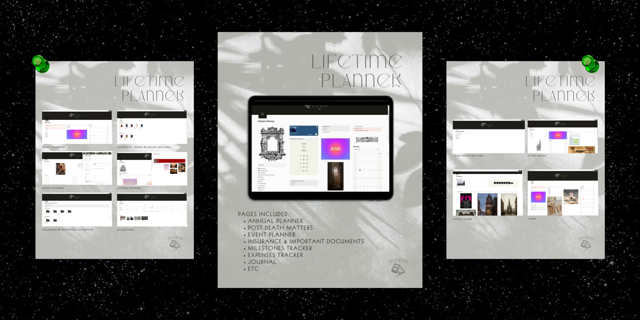 notion lifetime tracker template_0