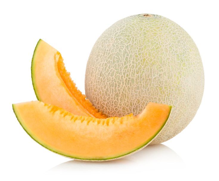 Melon Cantaloupe _0