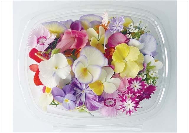Edible Flowers _0