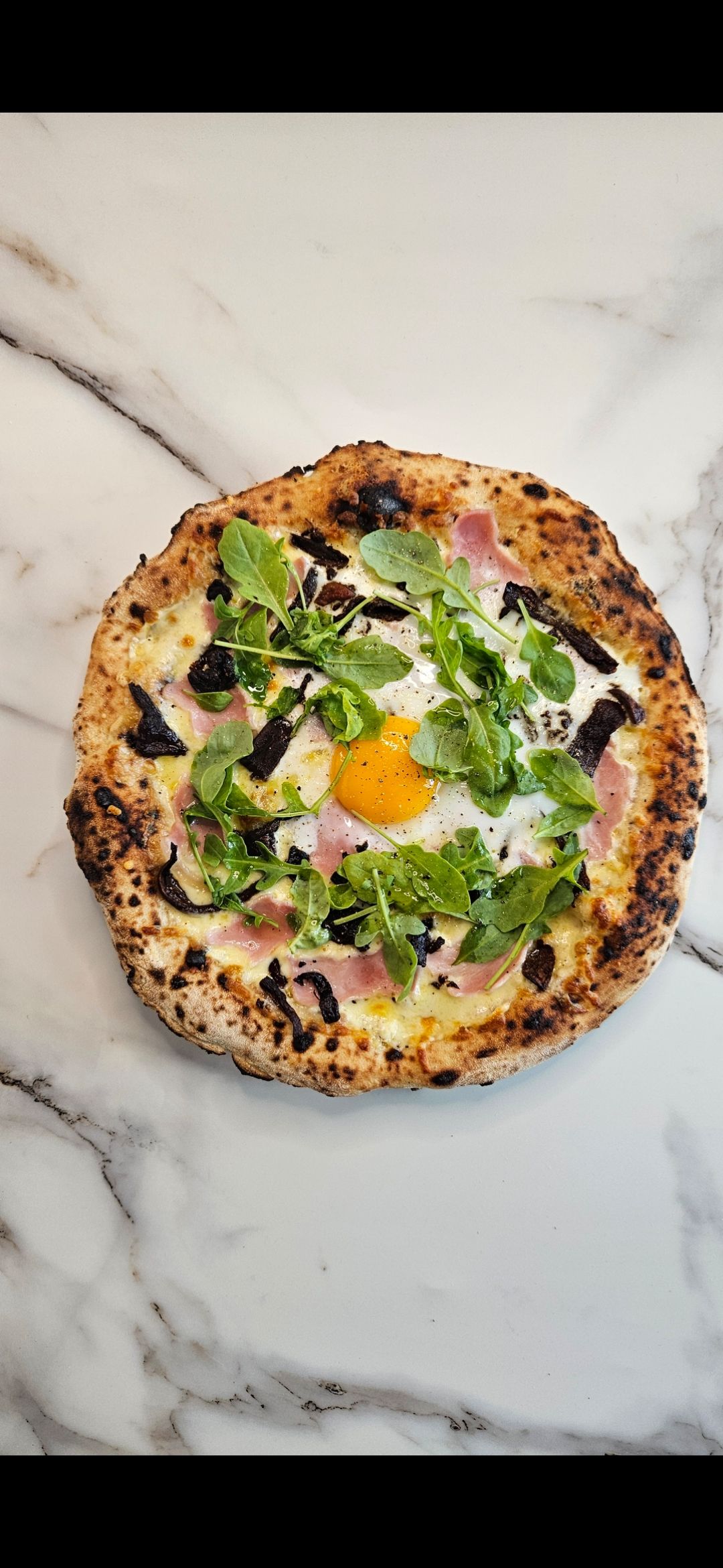 P12 PORCINI DEL SOLE_0