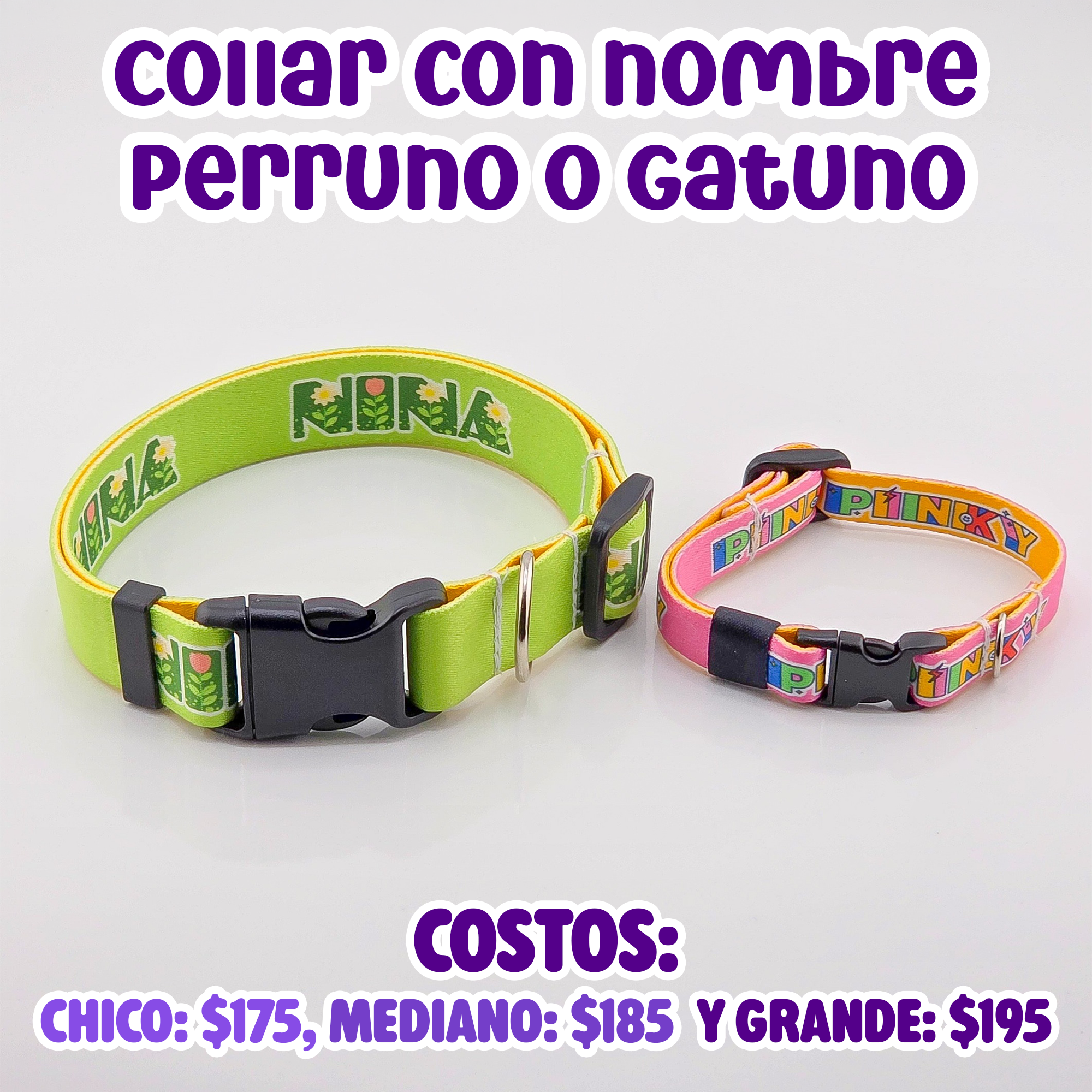 Collar con nombre_0