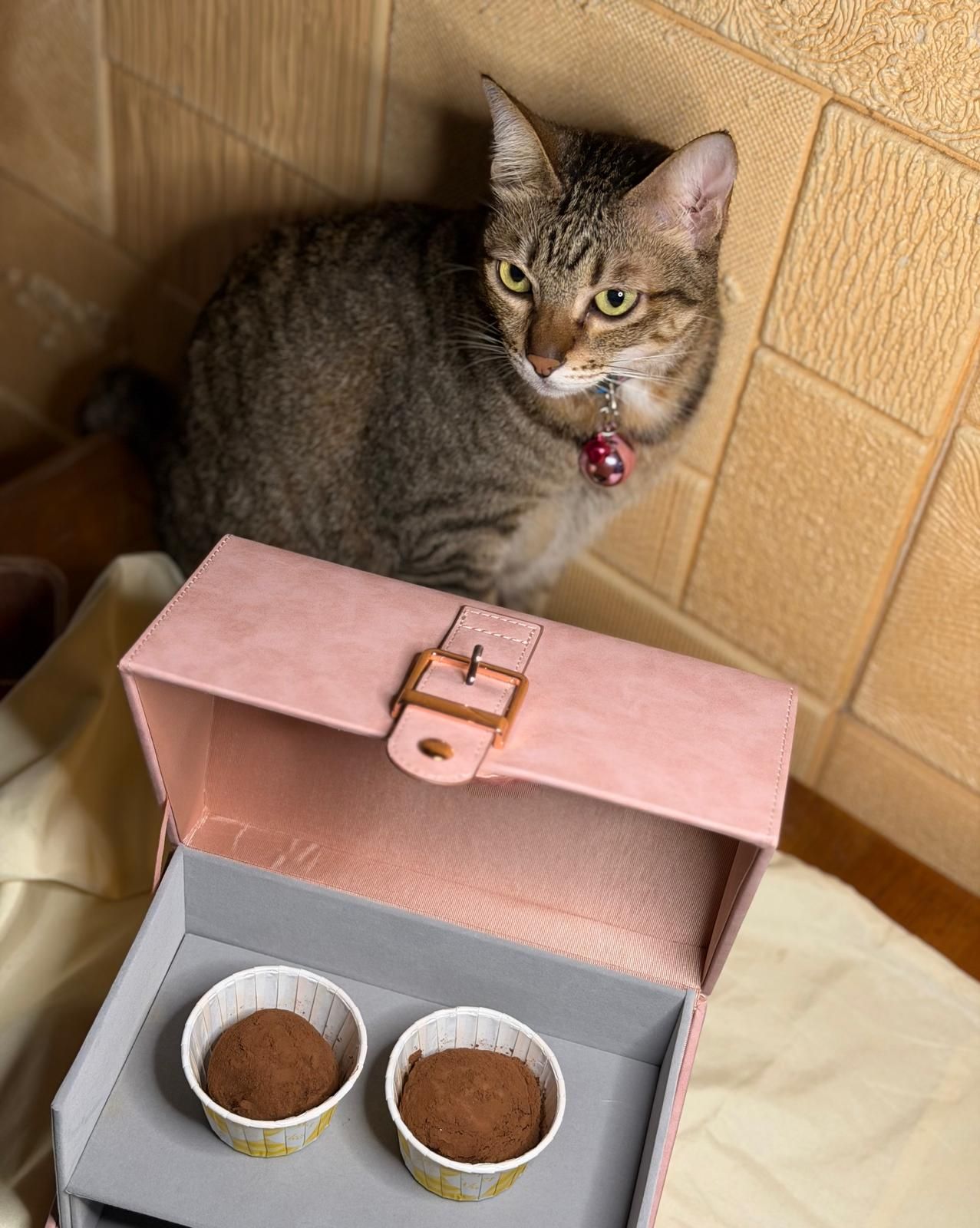 2 Pieces of Dubai Chewy Cookies _0