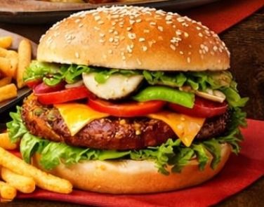 Chicken burger and chips _0