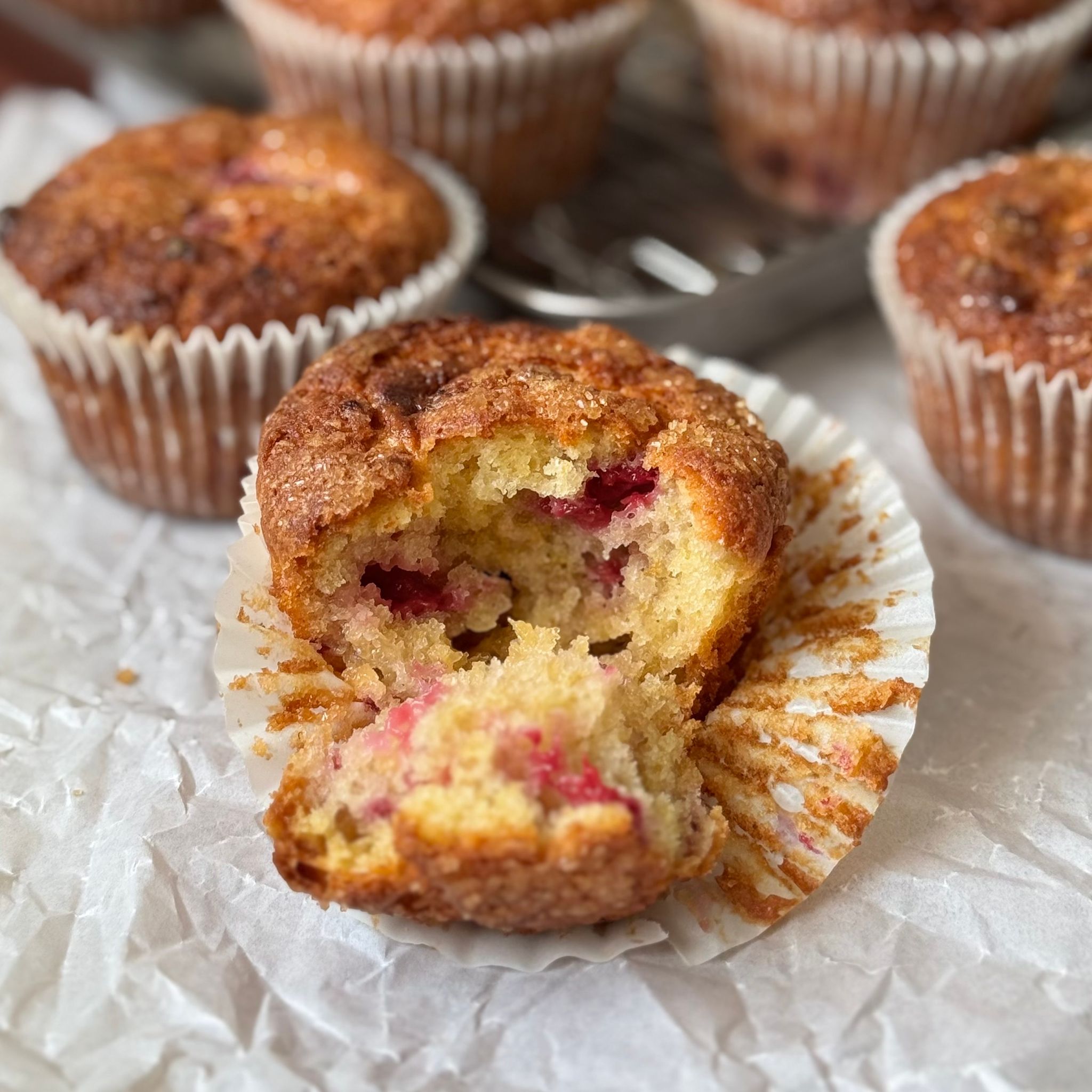 White Chocolate Raspberry Muffin_0