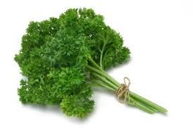 English Parsley_0