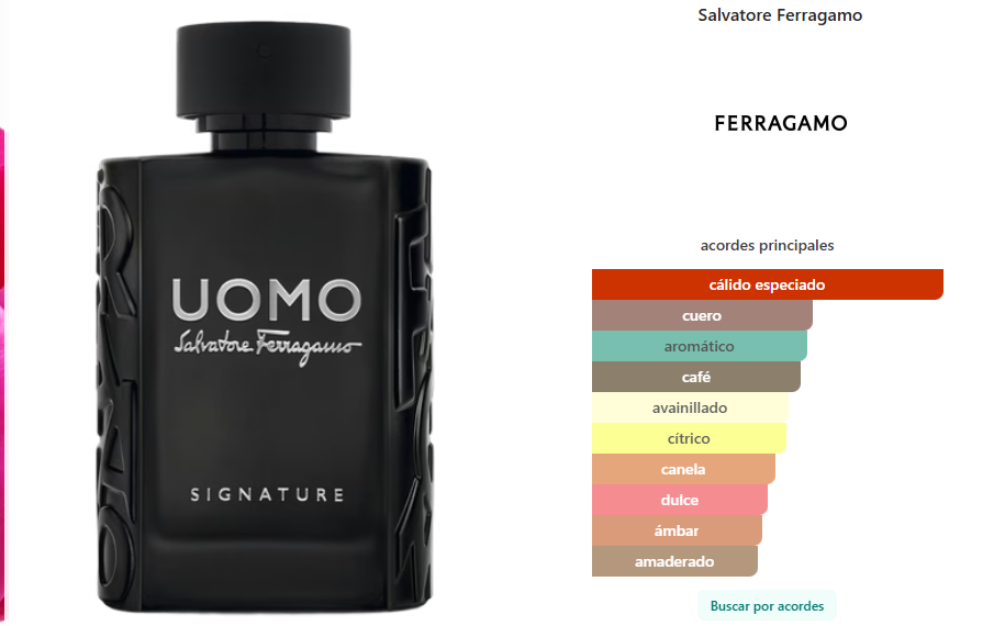 Uomo Signature  Salvatore Ferragamo_0
