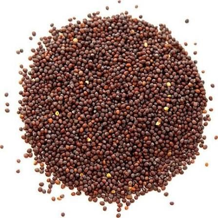 Mustard seeds (rai) 200g_0