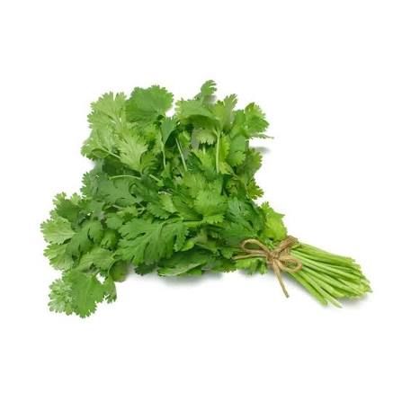 Coriander (dhania) 2 bunch_0