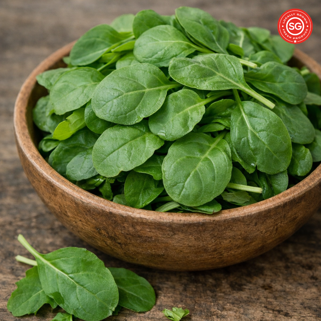 Dutch 'Sparkle' Rocket (100g)_0